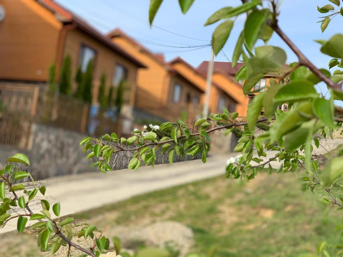 Mini Hotel Solnce Karpat Poljana Exterior foto