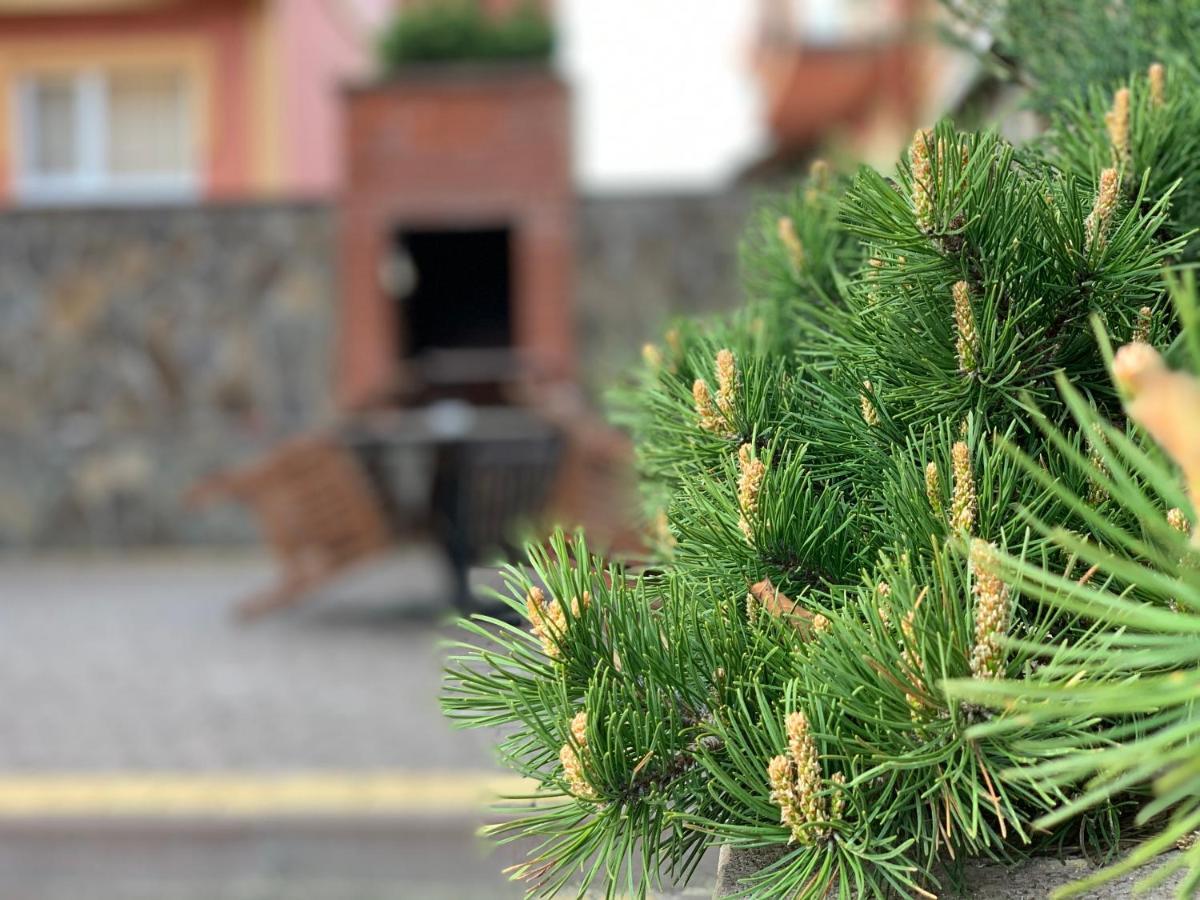 Mini Hotel Solnce Karpat Poljana Exterior foto